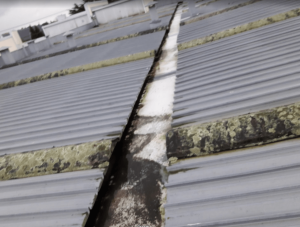roof repair auckland